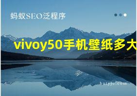 vivoy50手机壁纸多大