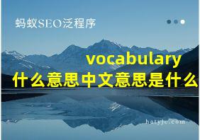 vocabulary什么意思中文意思是什么