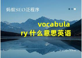 vocabulary 什么意思英语