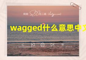 wagged什么意思中文