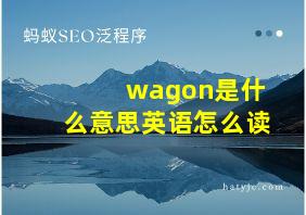 wagon是什么意思英语怎么读