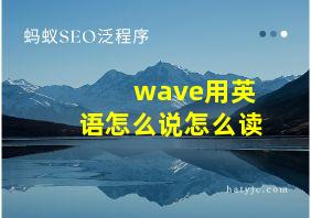 wave用英语怎么说怎么读