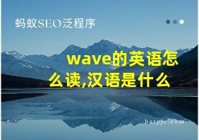 wave的英语怎么读,汉语是什么