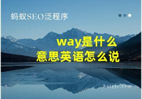 way是什么意思英语怎么说