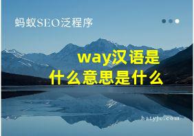 way汉语是什么意思是什么