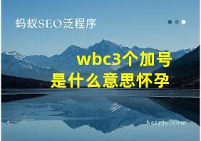 wbc3个加号是什么意思怀孕