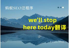 we'll stop here today翻译