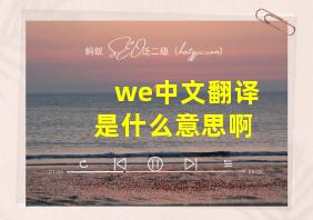 we中文翻译是什么意思啊