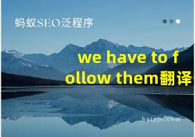 we have to follow them翻译