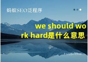 we should work hard是什么意思