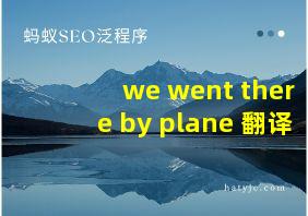 we went there by plane 翻译