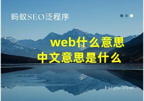 web什么意思中文意思是什么