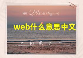 web什么意思中文