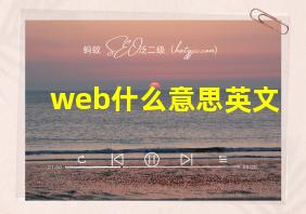 web什么意思英文