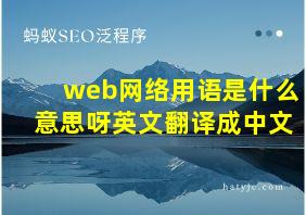 web网络用语是什么意思呀英文翻译成中文