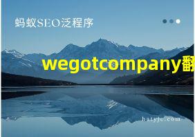 wegotcompany翻译