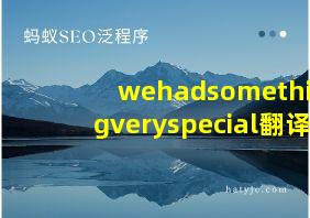 wehadsomethingveryspecial翻译