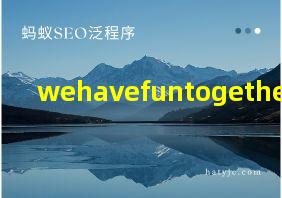 wehavefuntogether翻译