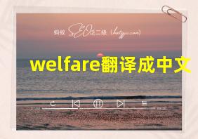 welfare翻译成中文