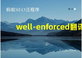 well-enforced翻译