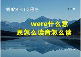 were什么意思怎么读音怎么读