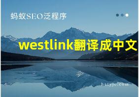 westlink翻译成中文