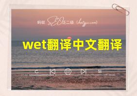 wet翻译中文翻译