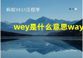 wey是什么意思way