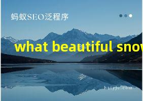 what beautiful snow翻译