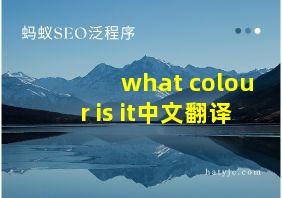 what colour is it中文翻译