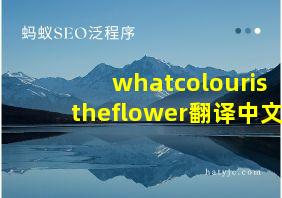 whatcolouristheflower翻译中文