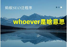 whoever是啥意思