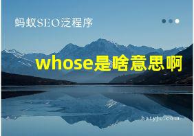 whose是啥意思啊