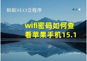 wifi密码如何查看苹果手机15.1