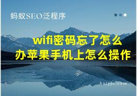 wifi密码忘了怎么办苹果手机上怎么操作