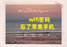 wifi密码忘了苹果手机