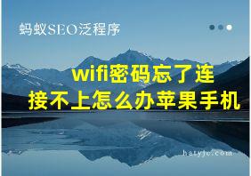 wifi密码忘了连接不上怎么办苹果手机