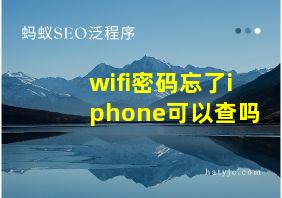 wifi密码忘了iphone可以查吗