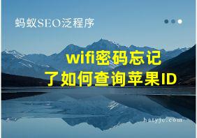 wifi密码忘记了如何查询苹果ID