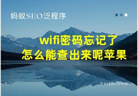 wifi密码忘记了怎么能查出来呢苹果