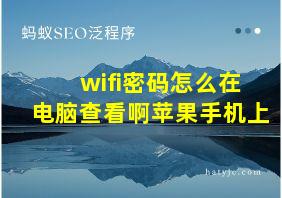 wifi密码怎么在电脑查看啊苹果手机上