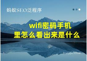 wifi密码手机里怎么看出来是什么