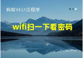 wifi扫一下看密码