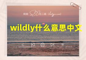 wildly什么意思中文