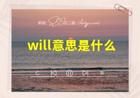 will意思是什么