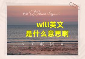 will英文是什么意思啊