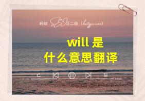 will 是什么意思翻译