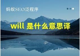 will 是什么意思译