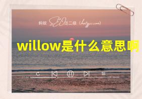 willow是什么意思啊