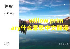 willow primary什么意思中文翻译